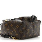 Monogram Palm Springs Backpack Mini