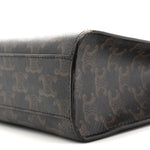Triomphe Canvas Calfskin Small Vertical Cabas Tan