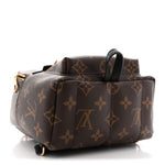 Monogram Palm Springs Backpack Mini