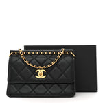 Caviar Quilted Small Chain Frame Flap Black