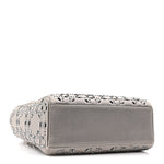 Satin Crystal Cannage Mini Lady Dior Gray