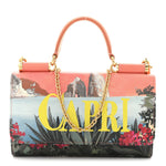 Dauphine Capri Printed Mini Von Bag Multicolor