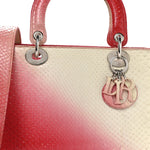 Snakeskin Ombre Medium Lady Dior Red White