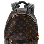 Monogram Palm Springs Backpack PM