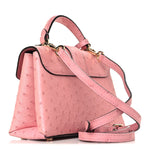Ostrich Rose Des Vents Mini Pink