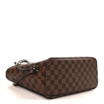 Damier Ebene Neo Neverfull PM