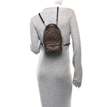 Monogram Palm Springs Backpack Mini