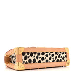 Monogram Multicolor Dalmatian Sac Rabat