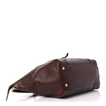 Supple Shiny Lambskin Medium Smiling New Luggage Brick