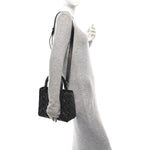 Crinkled Calfskin Cannage Medium Lady Dior Black