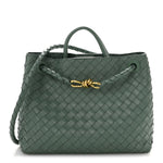 Nappa Intrecciato Medium Andiamo Shoulder Bag Aloe