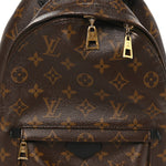 Monogram Palm Springs Backpack PM