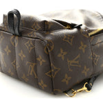 Monogram Palm Springs Backpack Mini