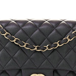 Iridescent Lambskin Quilted Medium Double Flap Black