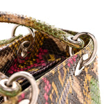 Snakeskin Medium Lady Dior Multicolor