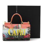 Dauphine Capri Printed Mini Von Bag Multicolor