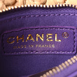 Raffia Chain Venice Beach Mini Flap Bag Beige Purple