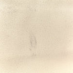 Canvas Calfskin Logo Print Vertical Cabas Natural Tan