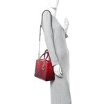 Alligator Gradient Medium Lady Dior Red