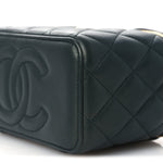 Iridescent Lambskin Quilted Small Top Handle Vanity Case With Chain Green