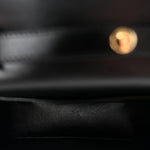Shiny Calfskin Mini Triomphe Black
