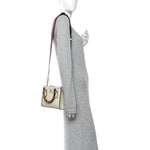 Textured Calfskin Web Mini Diana Tote Bag Mystic White