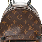 Monogram Palm Springs Backpack Mini
