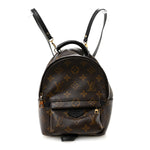 Monogram Palm Springs Backpack Mini
