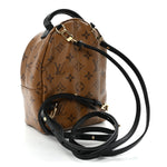 Reverse Monogram Palm Springs Backpack Mini