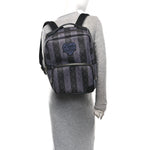 X NIGO Monogram Eclipse Stripes LV Heart Modular Utilitary Backpack