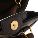 Monogram Jumbo GG Textured Dollar Calfskin Mini Diana Tote Bag Camel Ebony New Acero