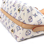 Monogram Jacquard CarryAll PM Multicolor Beige