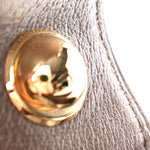GG Supreme Monogram Textured Dollar Calfskin Mini Blondie Chain Shoulder Flap Bag Beige Ebony New Acero