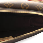 Monogram Vivacite Bag