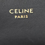 Shiny Calfskin Mini Triomphe Black