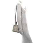 Calfskin Satin Celestial Bead Embroidery Embroidered Small Lady Dior Grey Multicolor