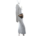 Monogram High Rise Bumbag
