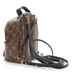 Monogram Palm Springs Backpack Mini
