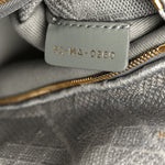 Canvas Embroidered Cannage Medium Lady D-Lite Gray