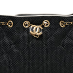Braided Raffia Calfskin Quilted Mini Chanel 25 Handbag Black White