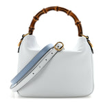 Softy Wonka Textured Dollar Calfskin Small Diana Shoulder Bag Pale Blue