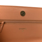 Lambskin Quilted Chanel 19 Wallet On Chain WOC Brown