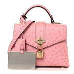 Ostrich Rose Des Vents Mini Pink