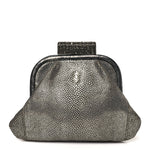 Stingray Degrade Frame Clutch Silver