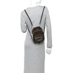 Monogram Palm Springs Backpack Mini