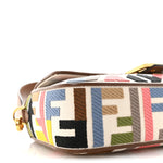 Canvas Ricamo Vitello King FF Multicolor Embroidered Baguette Grezzo Multicolor Gianduia