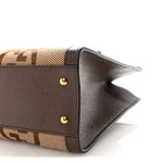 Monogram Jumbo GG Textured Dollar Calfskin Small Diana Tote Bag Camel Ebony New Acero Pomegranate Red