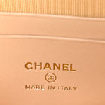 Braided Raffia Quilted Top Handle Slim Vanity Case With Chain Beige