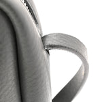 Calfskin Logo S Everyday Camera Bag Gris Fossile