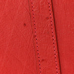 Ostrich Birkin 30 Rouge Vif